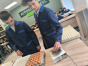 Перья расправлены: птицеводы получили крылья мастерства